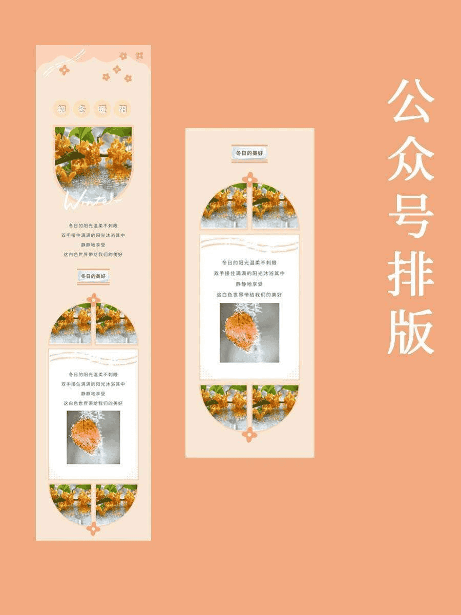 微信公众号排版实战视频教程：从基础到高阶，打造完美图文内容