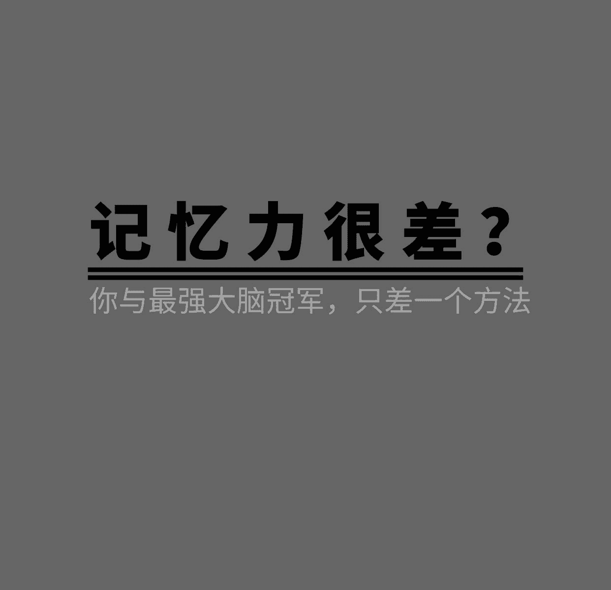 杨易教你提高记忆力：从基础到进阶的全方位训练