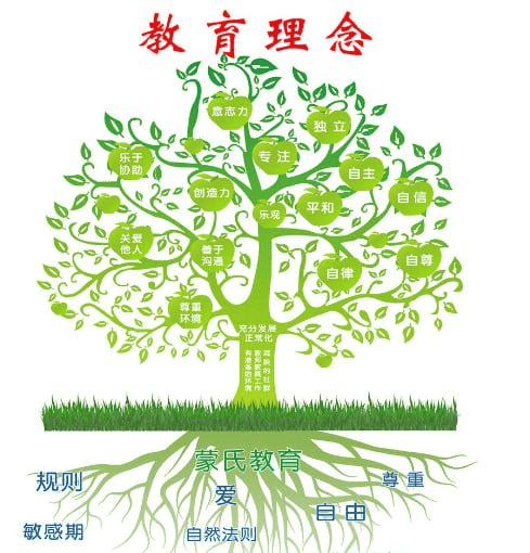 周轶君：教育观念20讲【完结】——探索全球教育智慧，培养未来之星