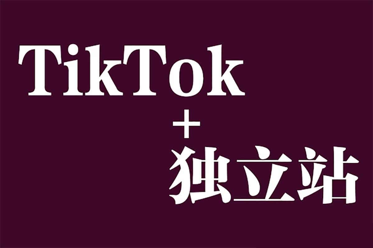 从0到精通！TikTok+独立站跨境电商全攻略，新手也能轻松上手