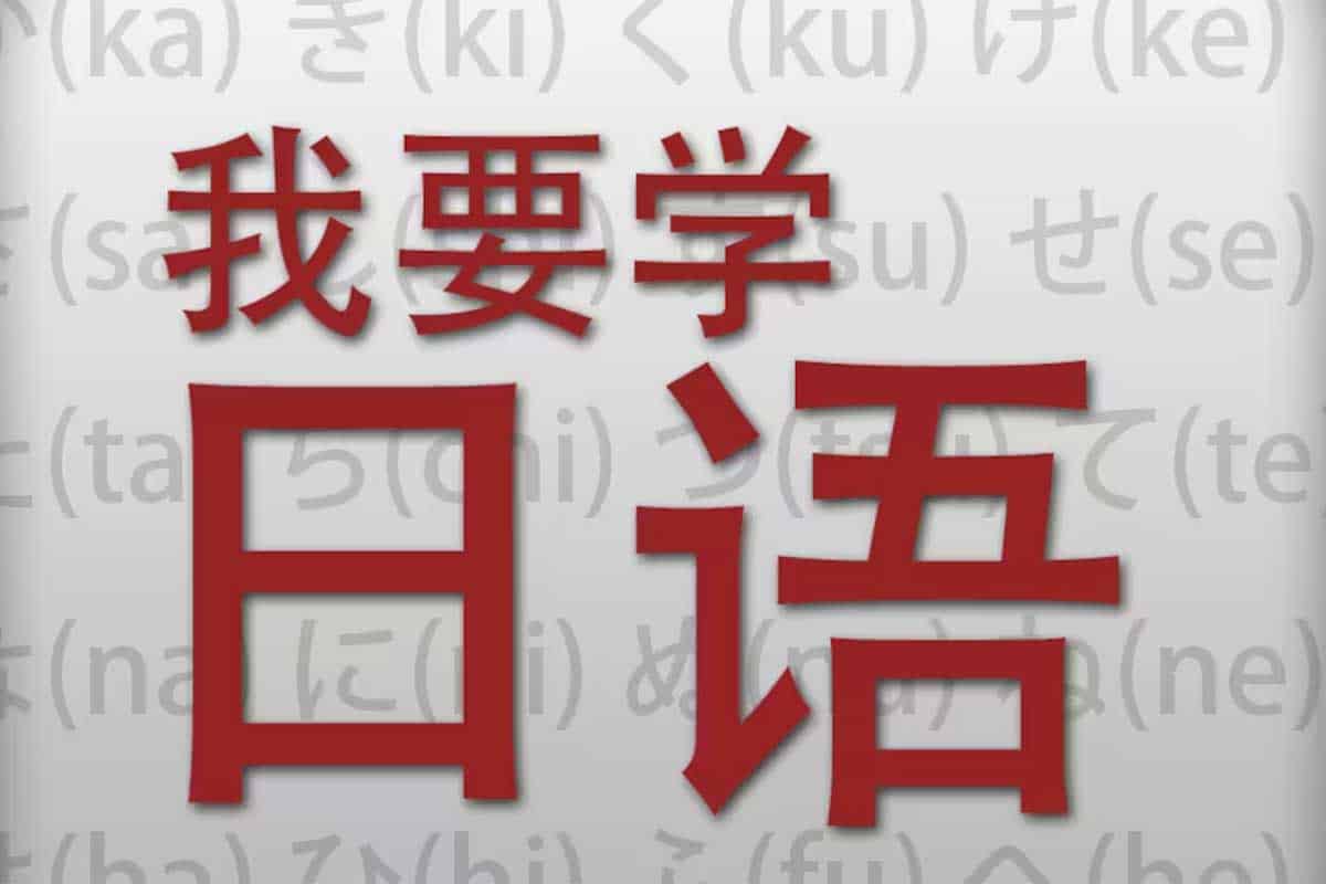 从零基础到N1高手：日语能力考试全攻略资源包