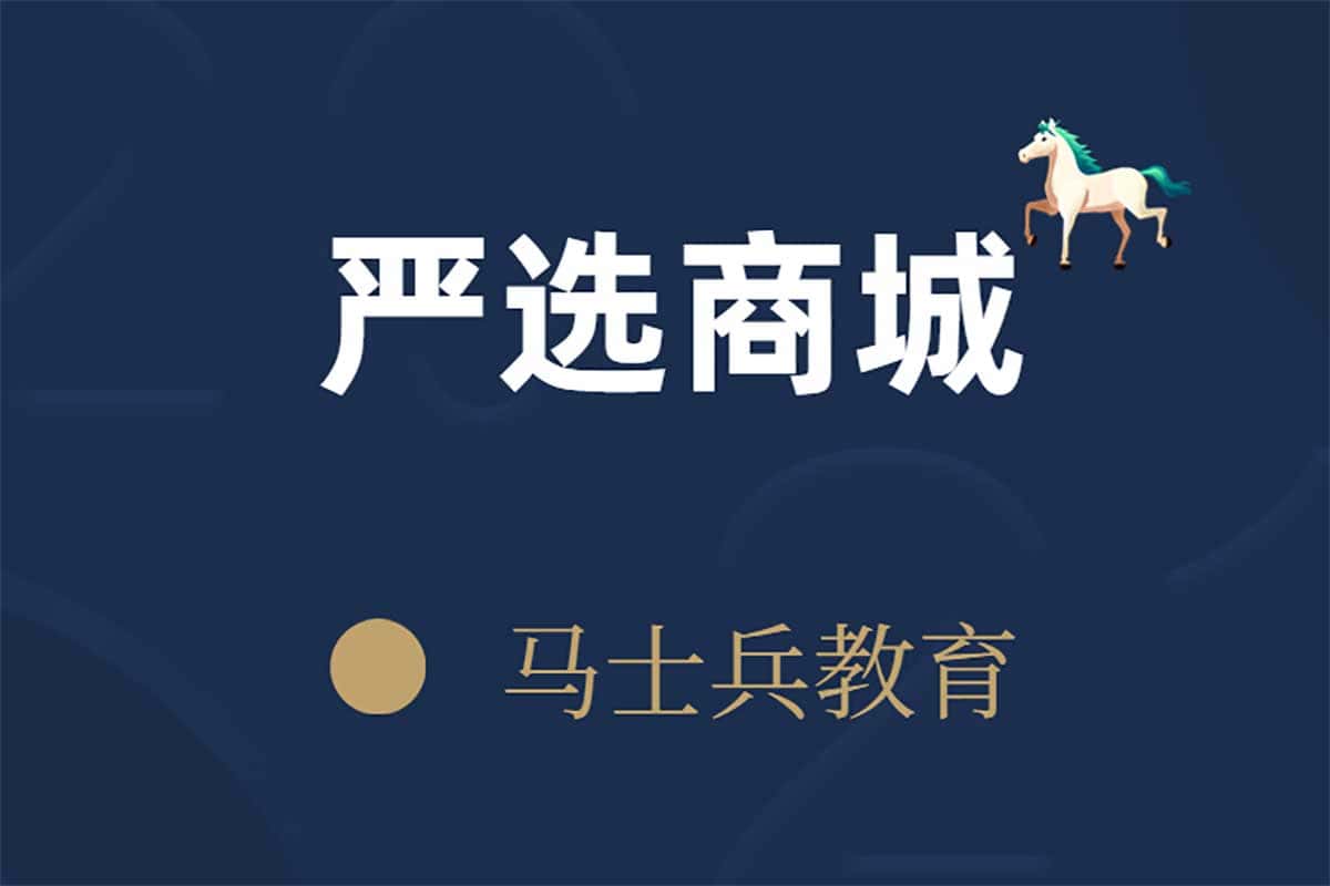 马士兵严选商城项目：从零构建电商帝国的终极指南