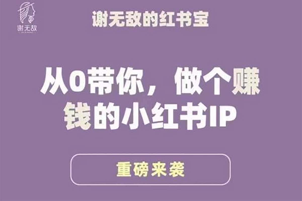 从小白到大神！谢无敌亲授小红书IP变现秘籍，打造你的专属赚钱机器