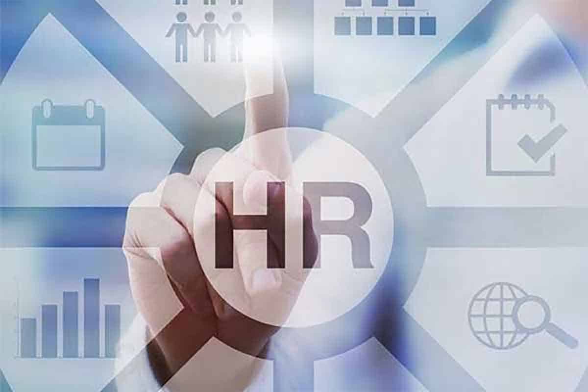 职场HR必备：全面股权解决方案大全，助你轻松应对各类股权问题
