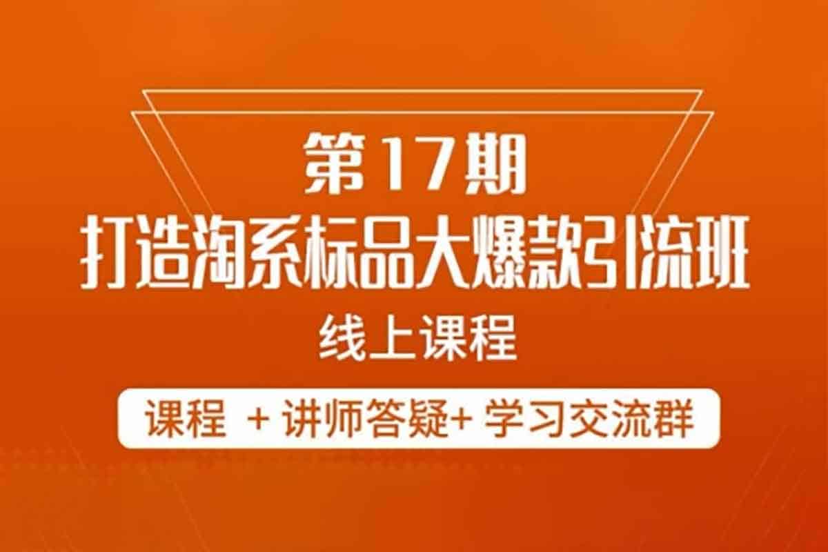 南掌柜第17期：5天速成淘系标品爆款秘籍，引爆流量与销量的终极指南！