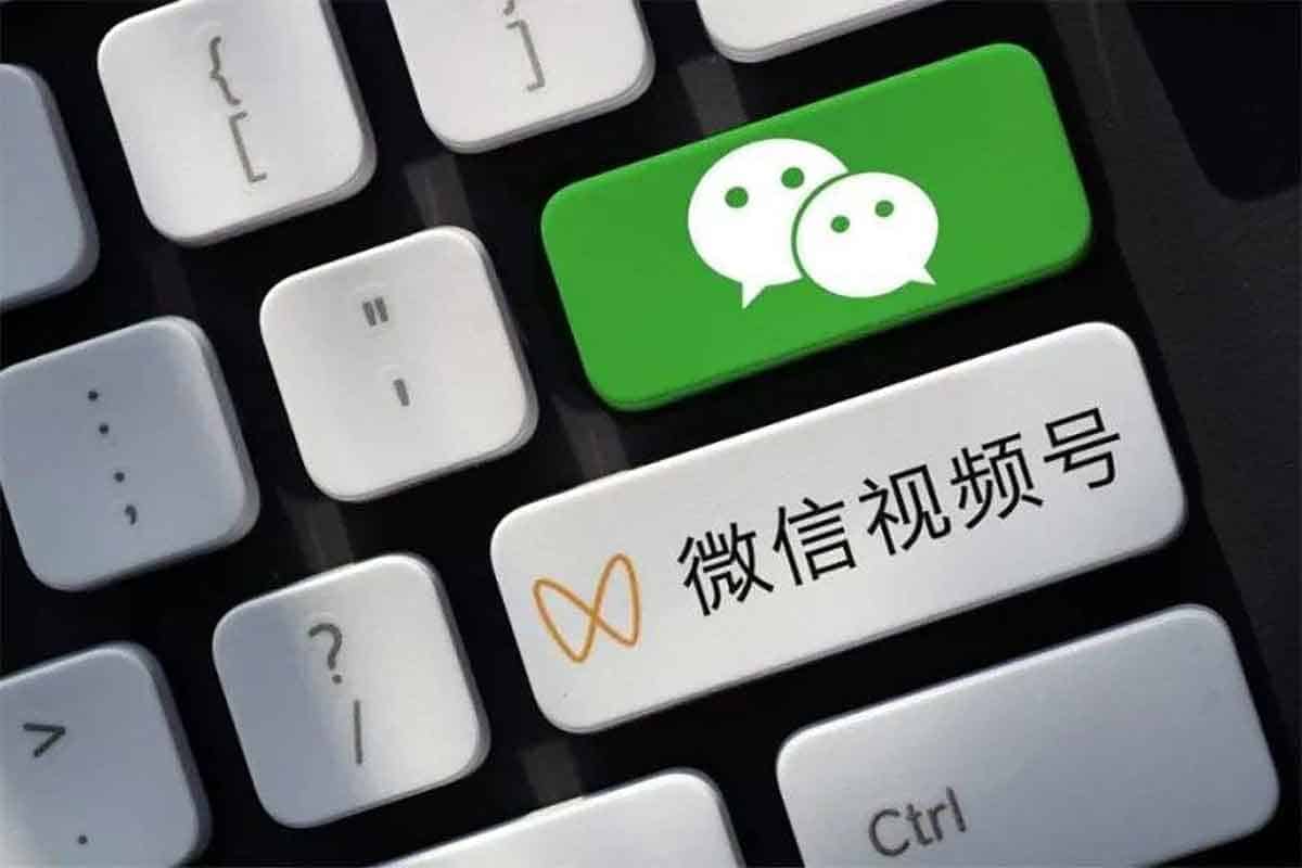 2024视频号训练营：从入门到变现的全方位秘籍