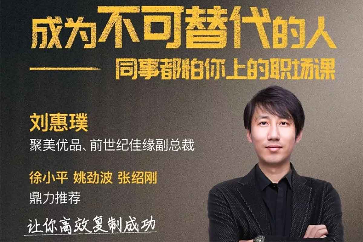 成为不可替代的人—职场进阶秘籍：从菜鸟到精英的全面指南