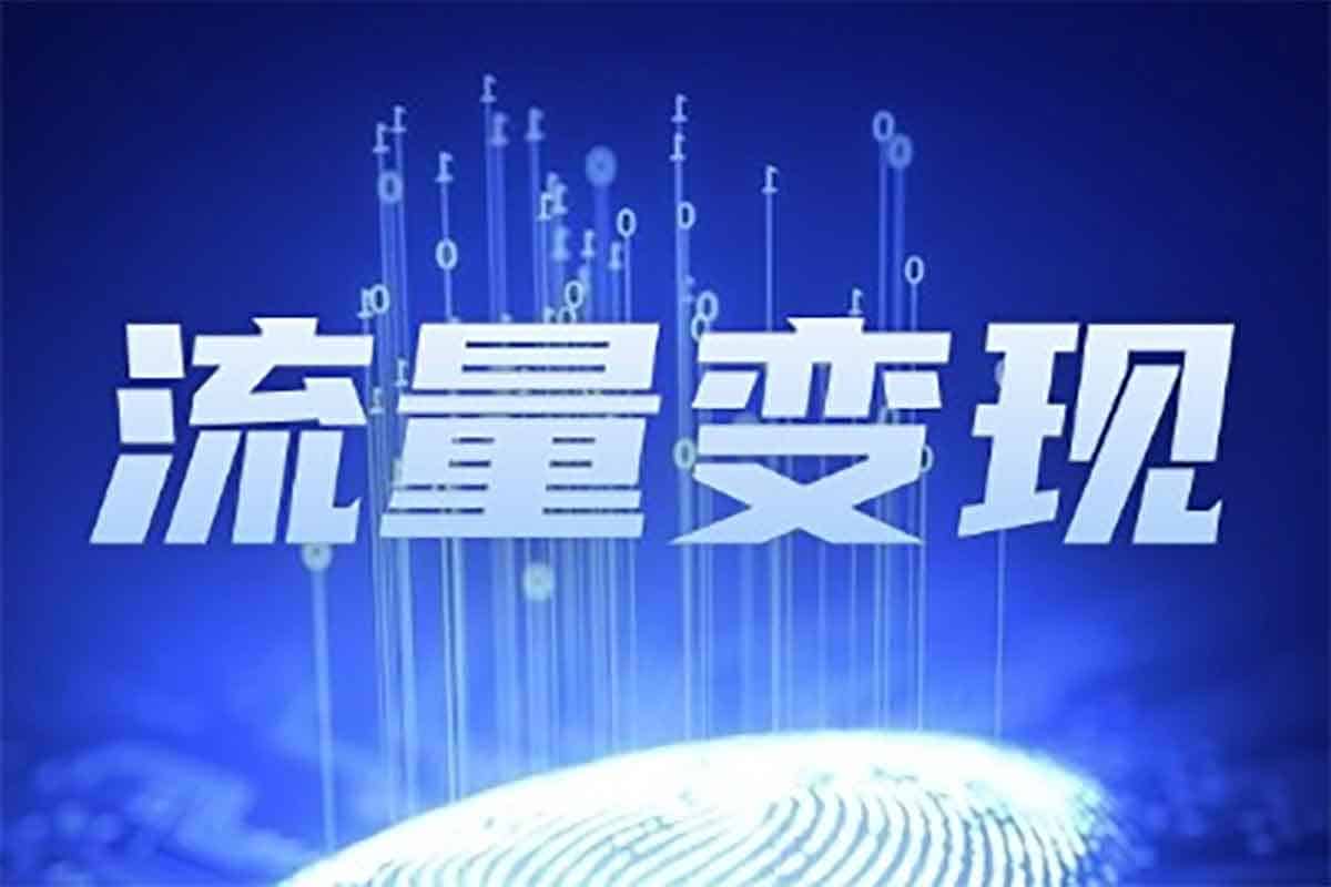 流量变现秘籍：普通人打造百万IP的实战训练营