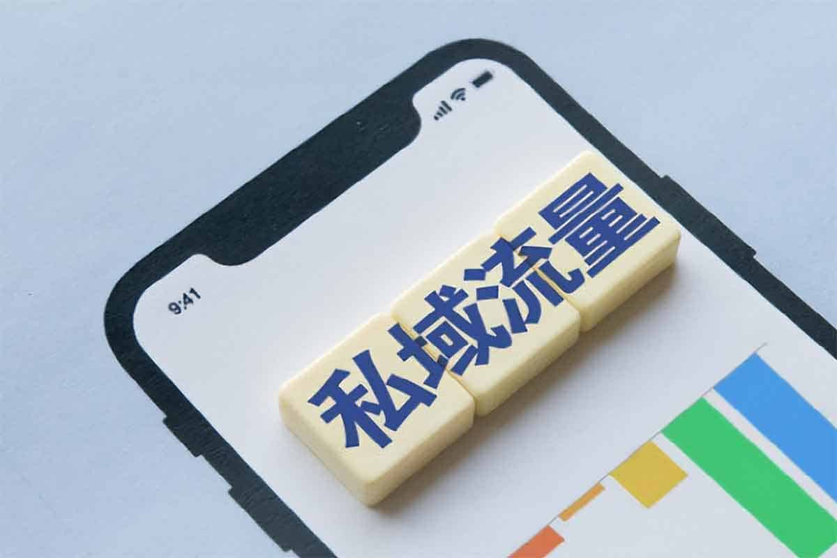 从0到1打造高端私域社群：增长秘籍与运营全攻略