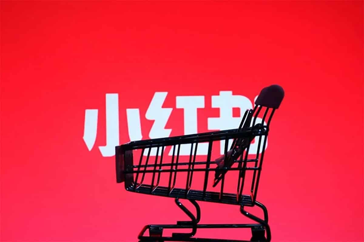 盗坤·小红书电商带货陪跑营（第十一期）：从入门到精通，打造爆单秘籍！