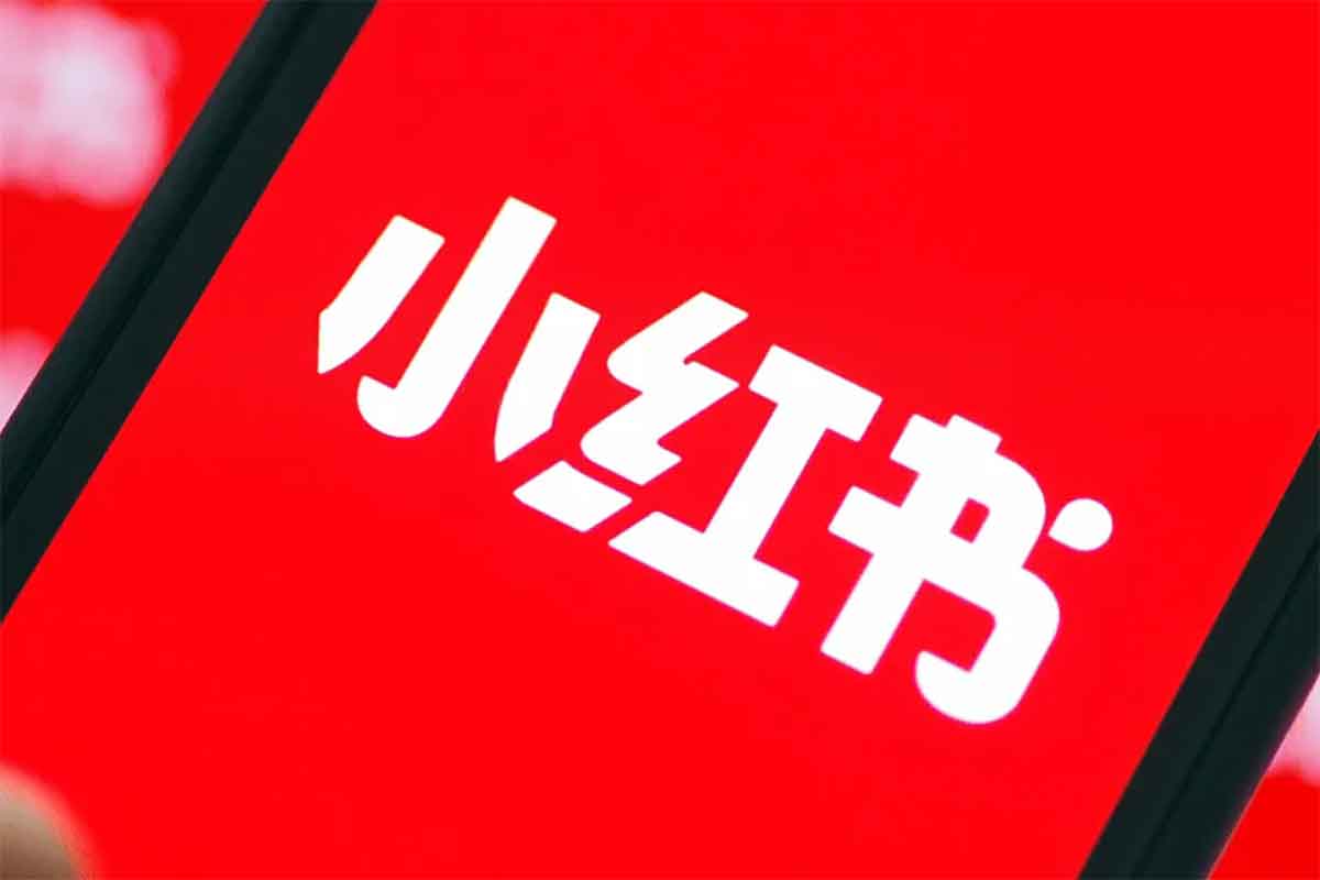 小红书个人IP陪跑课程：从素人到百万博主的流量密码，开启你的PLAN-B职业生涯！