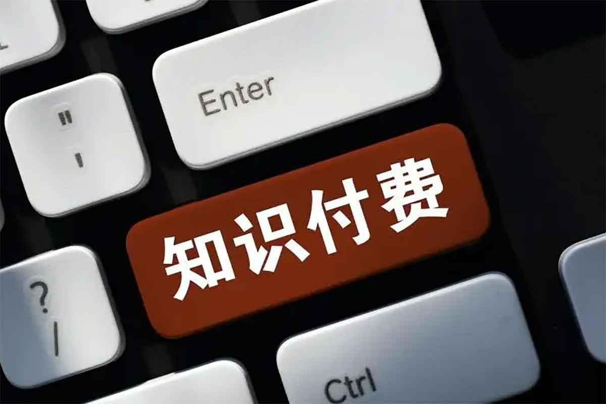 IP合伙人知识付费虚拟项目：全网引流秘籍+成交话术宝典，助你轻松玩转流量变现！