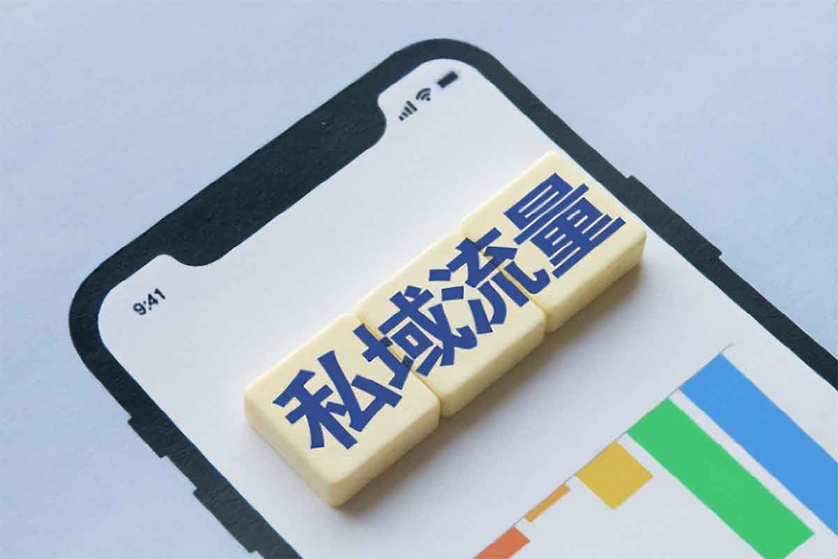 私域从0到1：解锁客户成交体系的秘密武器