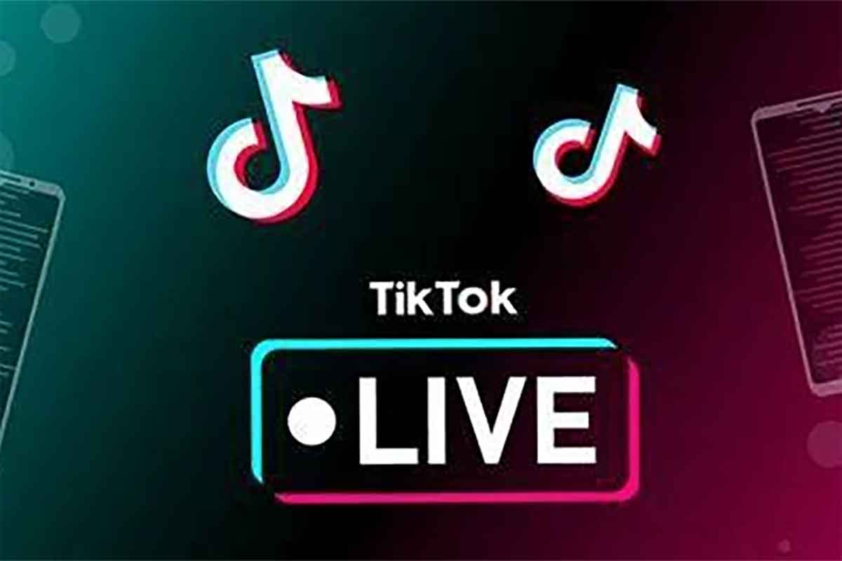 从0到1玩转TikTok直播与短视频，打造百万流量变现秘籍！